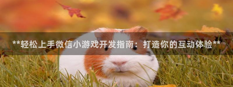 沐鸣娱乐2是干嘛的