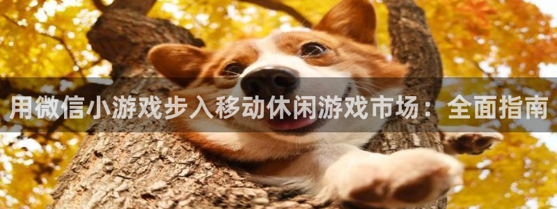 沐鸣2平台官网
