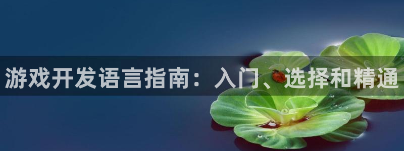 沐鸣277 77注册