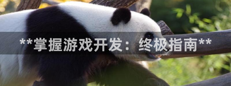 沐鸣娱乐2黑客户吗