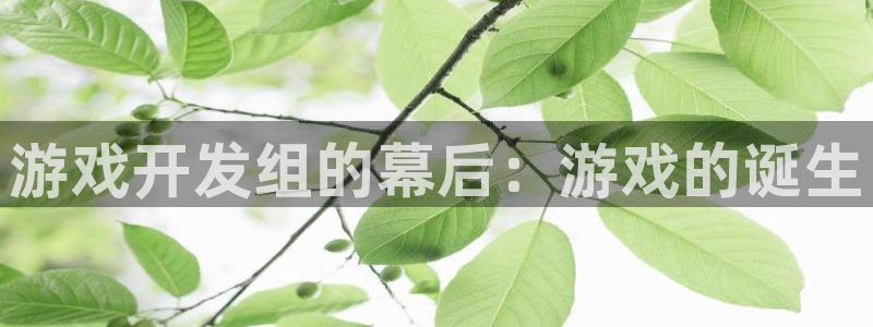 沐鸣娱乐2怎么登录账号