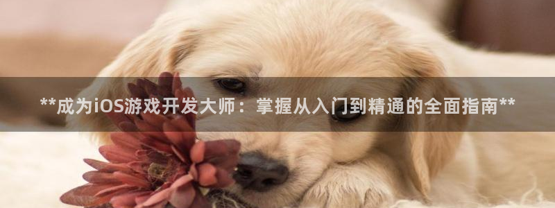 沐鸣2官网网址