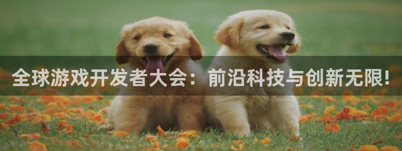 沐鸣2登录官方登录网站：全球游戏开发者大会：前沿科技与创新无限!