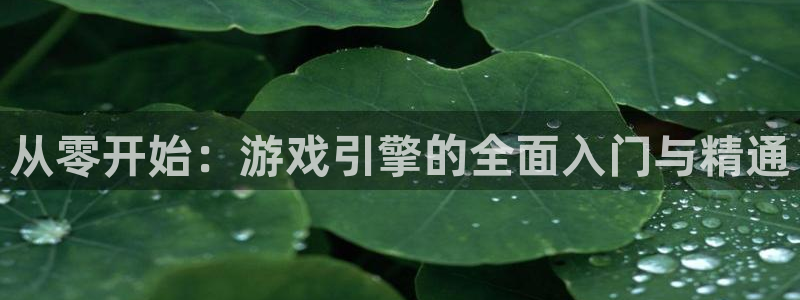 沐鸣娱乐2是正规平台么吗：从零开始：游戏引擎的全面入门与精通
