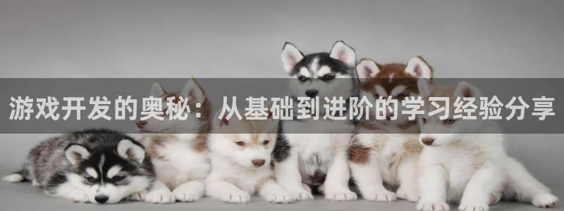 沐鸣娱乐2如何找回密码：游戏开发的奥秘：从基础到进阶的学习经验分享
