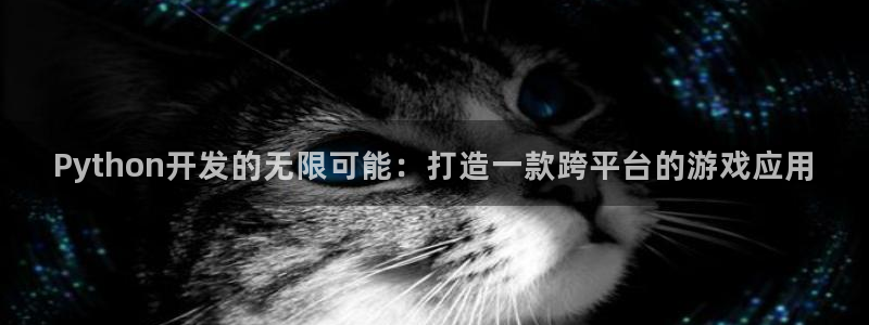 沐鸣2输钱能要回来吗：Python开发的无限可能：打造一款跨平台的游戏应用