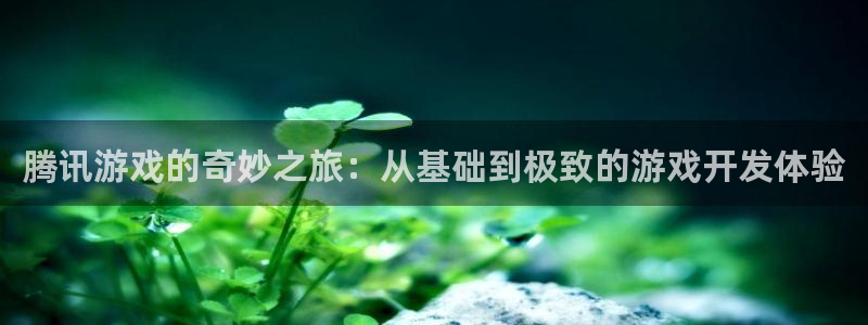 沐鸣娱乐2登录：腾讯游戏的奇妙之旅：从基础到极致的游戏开发体验
