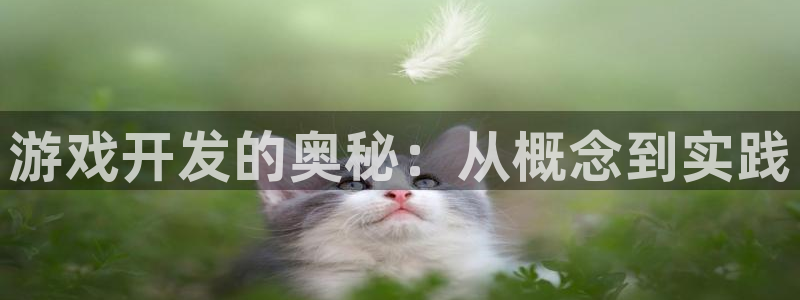沐鸣娱乐2手机下载破解版：游戏开发的奥秘：从概念到实践