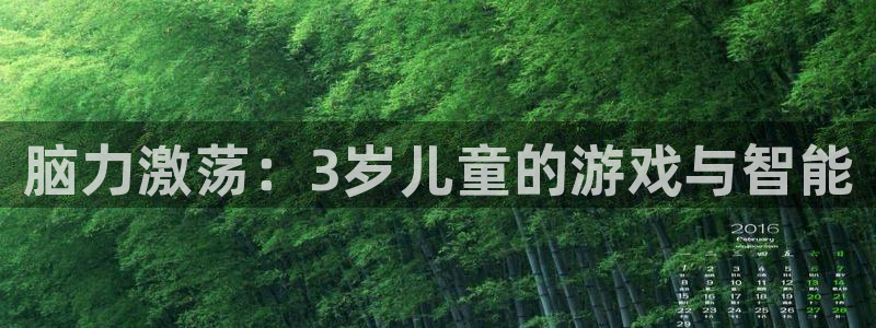 沐鸣娱乐2返点：脑力激荡：3岁儿童的游戏与智能