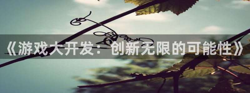 沐鸣2登录测试：《游戏大开发：创新无限的可能性》