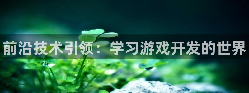 沐鸣娱乐2游戏说明：前沿技术引领：学习游戏开发的世界