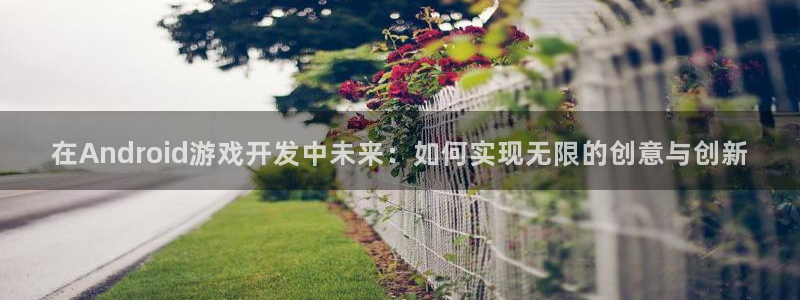 沐鸣2代理酋27337：在Android游戏开发中未来：如何实现无限的创意与创新