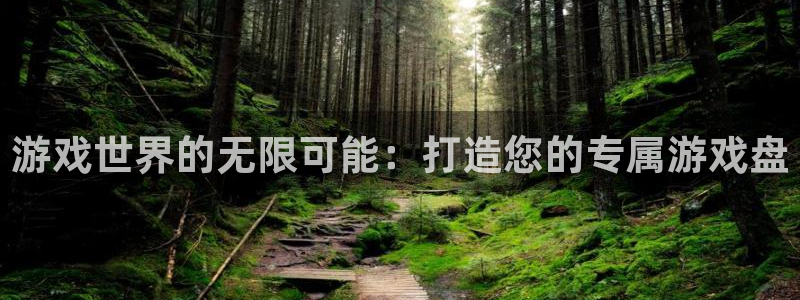沐鸣娱乐2测速登陆：游戏世界的无限可能：打造您的专属游戏盘
