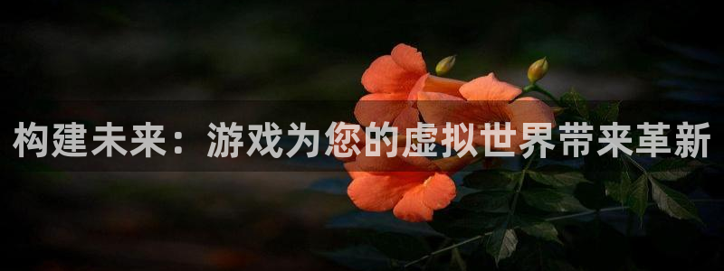沐鸣娱乐2返点：构建未来：游戏为您的虚拟世界带来革新