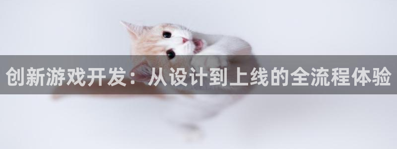 沐鸣娱乐2代理：创新游戏开发：从设计到上线的全流程体验