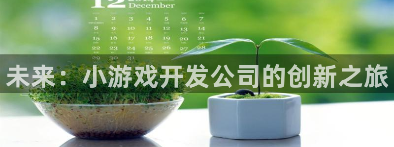 沐鸣2平台在线注册：未来：小游戏开发公司的创新之旅