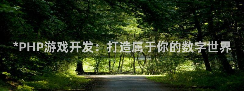 沐鸣娱乐2电脑版：*PHP游戏开发：打造属于你的数字世界