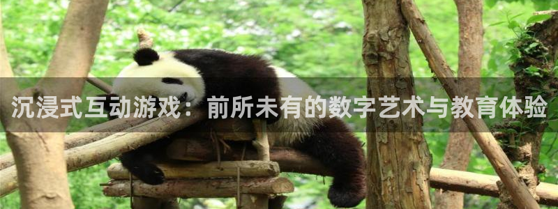 沐鸣2登录地址：沉浸式互动游戏：前所未有的数字艺术与教育体验